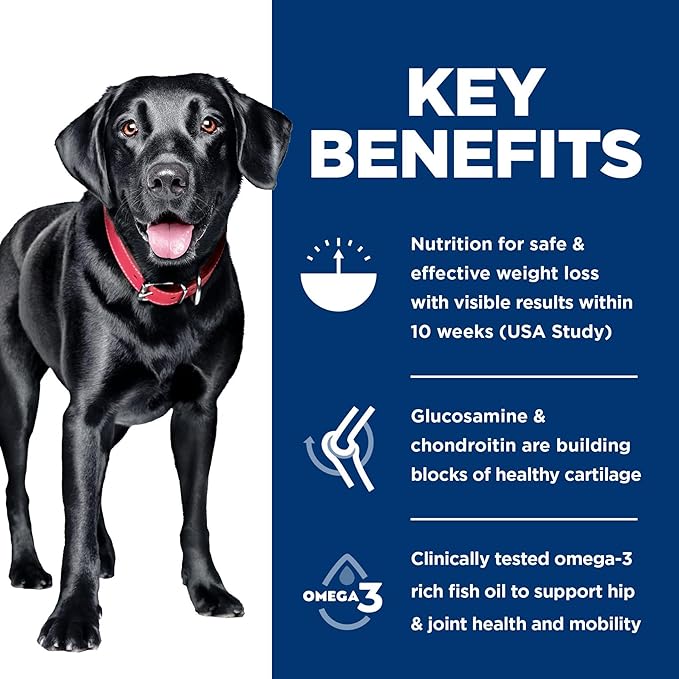 Hill's Science Diet Perfect Weight & Joint Support Large Breed Adult Dry Dog Food 1-5,Quality Protein for Weight Management & Joint Support, Chicken & Brown Rice, 25 lb. Bag