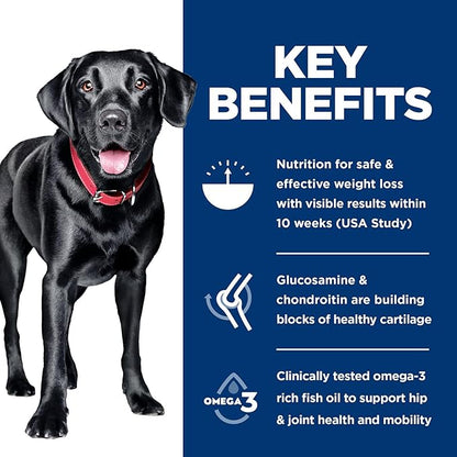 Hill's Science Diet Perfect Weight & Joint Support Large Breed Adult Dry Dog Food 1-5,Quality Protein for Weight Management & Joint Support, Chicken & Brown Rice, 25 lb. Bag