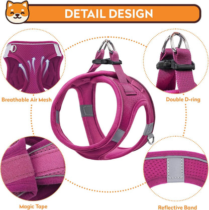 Dog Harness with Leash Set, No-Pull Step-in Reflective Pet Harness with 1 Leash Clips, Adjustable Soft Padded Easy Walk Dog Vest for Small Medium Large Dogs, Cats(Rose Red, Small)