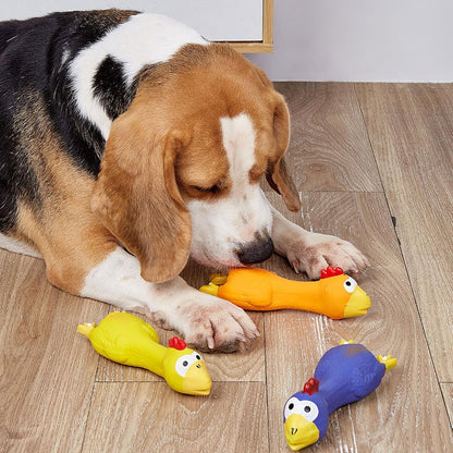 3 PCS Latex Chicken Squeak Toy for Pets - Exciting Chew & Dental Care Fun - Perfect for Playful Molar Exercise