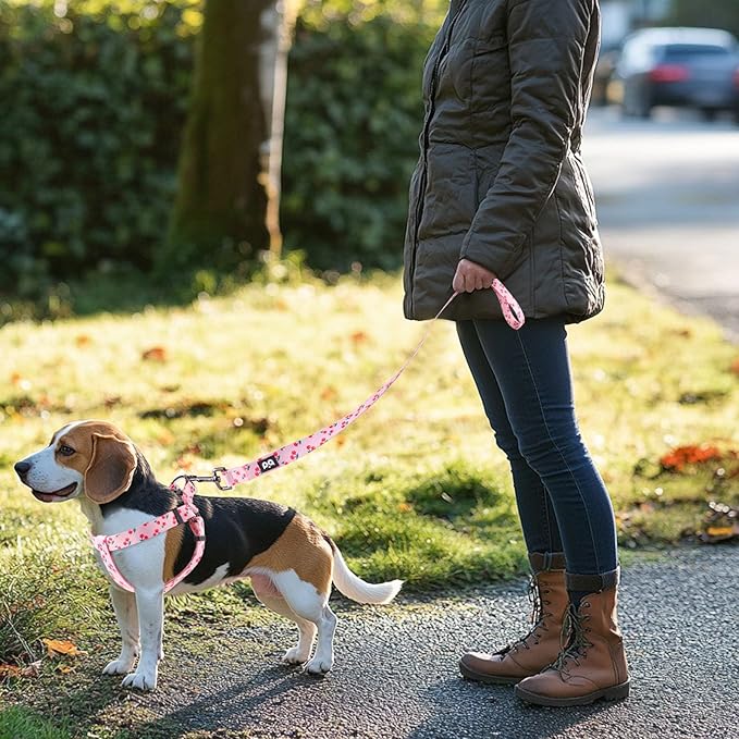QQPETS Dog Harness Leash Set Adjustable Heavy Duty No Pull Halter Harnesses for Small Medium Large Breed Dogs Back Clip Anti-Twist Perfect for Walking (M(19"-26" Chest Girth), Sakura Pink)