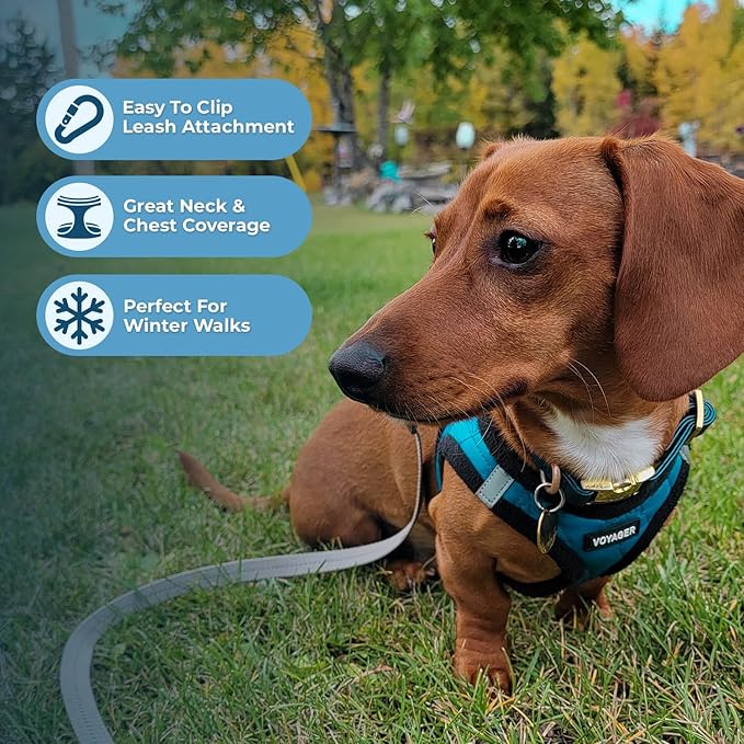 Best Pet Supplies - All Weather Mesh / Plush, Reflective, No Pull Harness for Small, Medium Dogs, Cats - Secure with Hook & Loop Fastener, Buckle, Double D-Rings - Turquoise Plush, XL