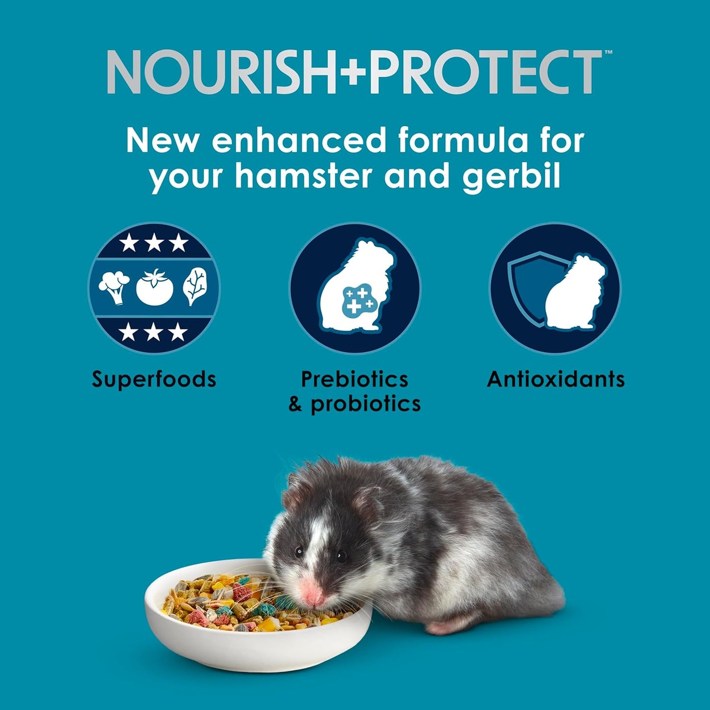 Kaytee Forti-Diet Pro Health Nourish+Protect Hamster and Gerbil Food, Comprehensive Nutrition Backed by Science, Digestive Health, Immune Support, 3 Pounds