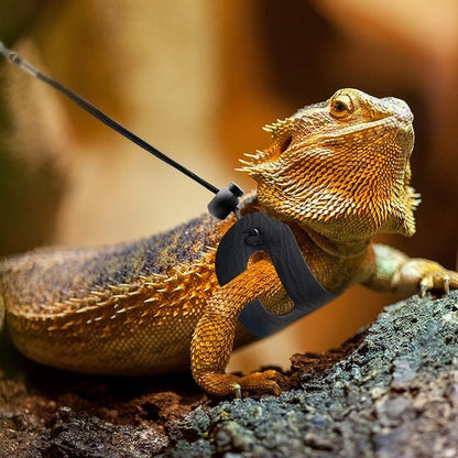 BWOGUE Bearded Dragon Harness and Leash Adjustable Leather Lizard Reptiles Harness Leash for Amphibians and Other Small Pet Animals (S,M,L,3 Pack)