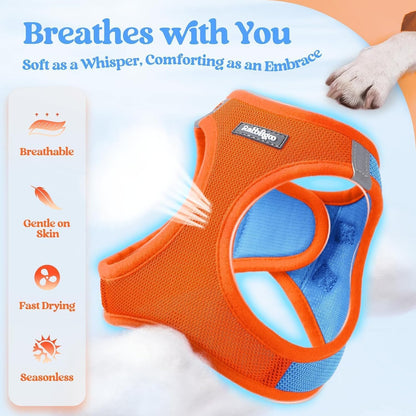 rabbitgoo Dog Harness Small Medium Sized and Leash Set, Step in Soft Light Puppy Vest, Breathable Mesh Pet Harness, Reflective for Safe Easy Walking, Blue & Orange L