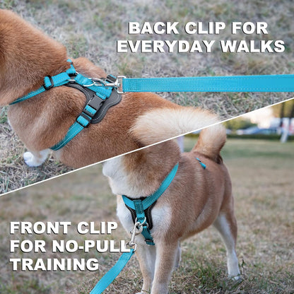 Plutus Pet Adjustable No Pull Dog Harness with Leather Accents, Heavy Duty Reflective Nylon Vest for Training, Hiking, Easy Walk Harness for Small, Medium, Large Dogs (Light Blue, S)