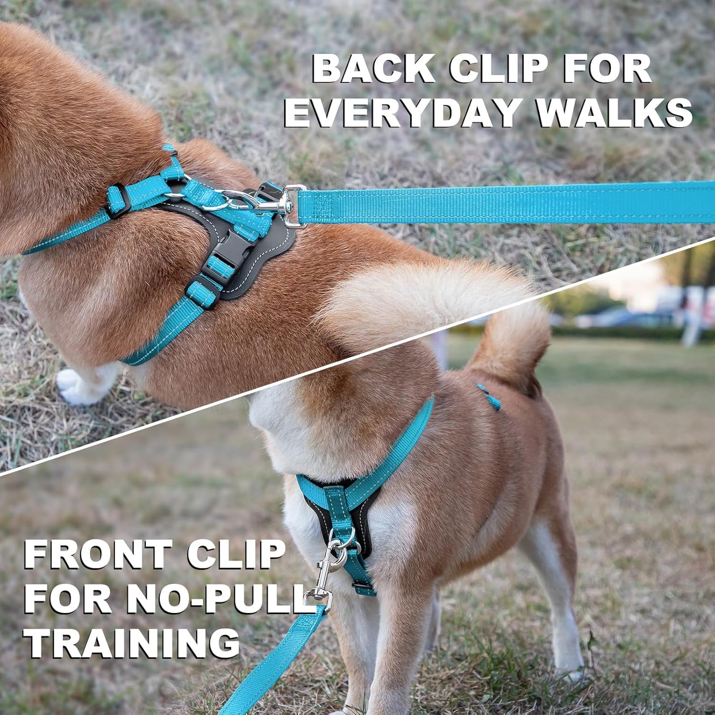 Plutus Pet Adjustable No Pull Dog Harness with Leather Accents, Heavy Duty Reflective Nylon Vest for Training, Hiking, Easy Walk Harness for Small, Medium, Large Dogs (Light Blue, M)