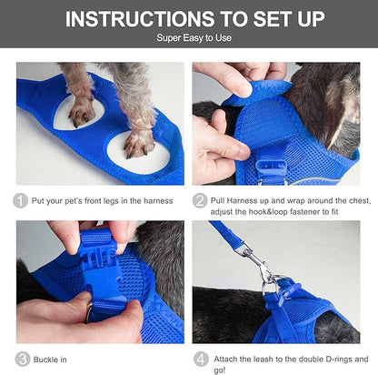 Fida Comfy Dog Harness with Leash, Soft Puppy Vest Escape Proof, Breathable Lightweight Soft Mesh, Adjustable Reflective Step-in Harness for Small Pet Walking (S, Blue)