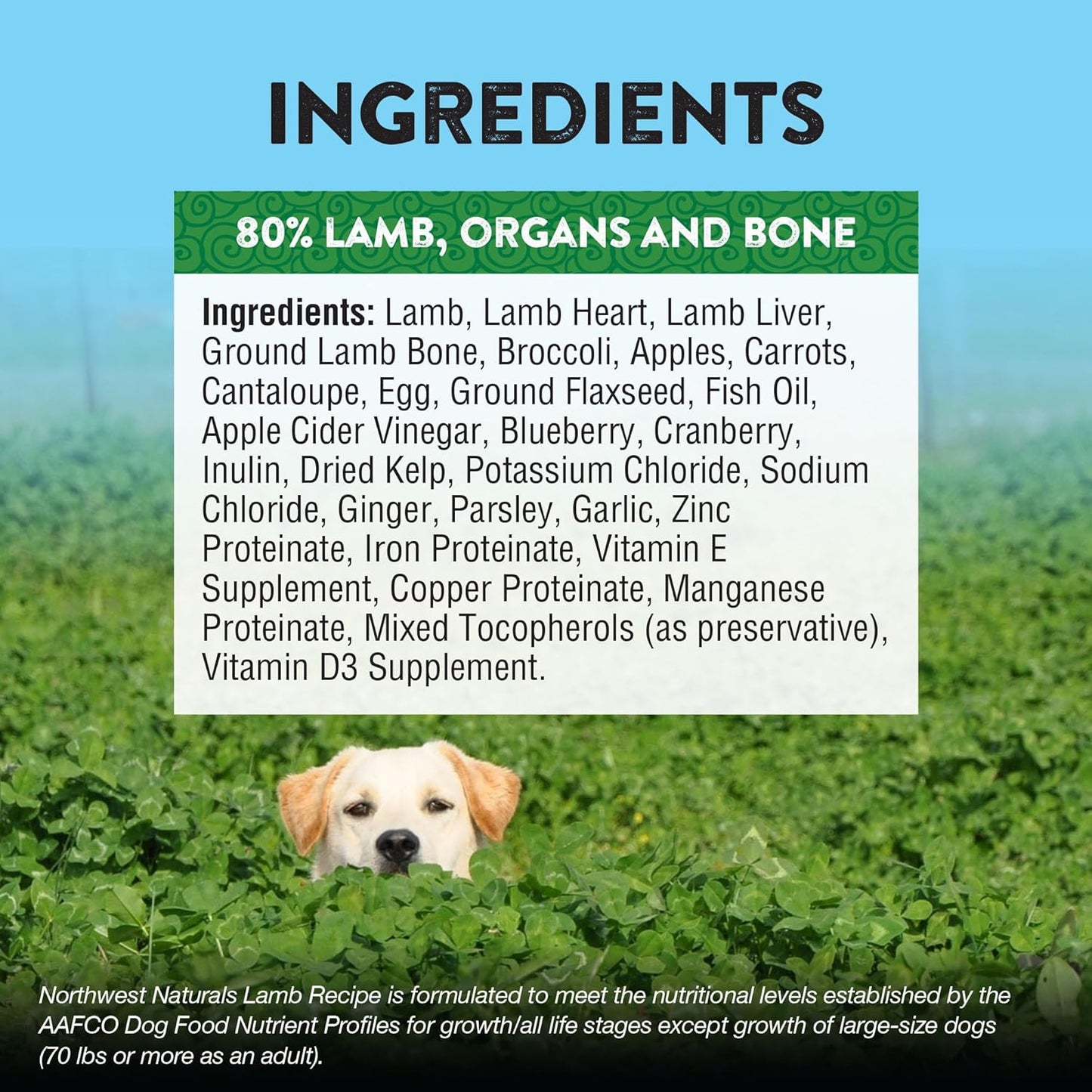 Northwest Naturals Freeze-Dried Lamb Dog Food - Bite-Sized Nuggets - Grain-Free, High-Protein, Human-Grade, Limited Ingredients, All Natural, Nutrient-Dense, Healthy & Nutritious - 12 Oz (Pack of 2)