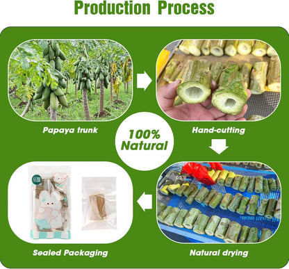 Abizoo Natural Bunny Chew Toys,6 Pcs Organic Papaya Wood Sticks Chew Toys for Rabbit,Hamster,Guinea Pig,Chinchilla,Gerbil,Rat Healthy Chews Teeth Grinding Treats, Squirrel Molar Snack