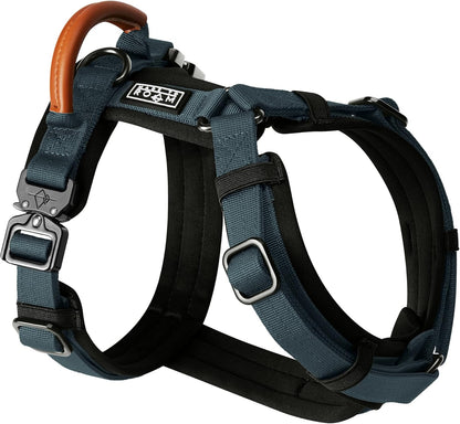 MADE TO ROAM Premium Explorer Harness - Y-Shaped Dog Harness with Adjustable Durable Nylon, Soft Padding, Metal Buckles and Leather Handle for Small, Medium, Large Dogs (Colorado Nightsky, Size 3)