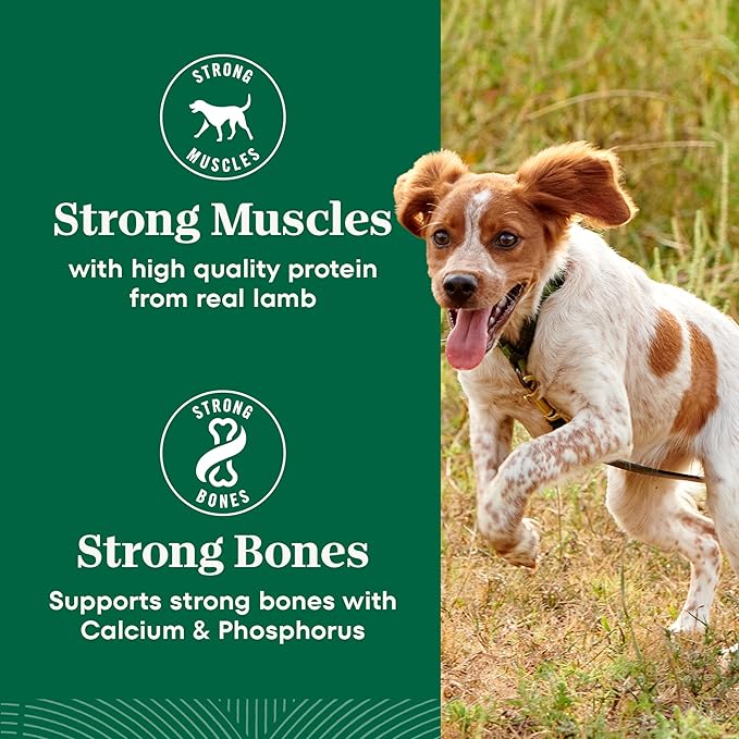 Nutro Natural Choice Lamb & Brown Rice Adult Small Bites Dog Food Recipe, 5 lb. Bag