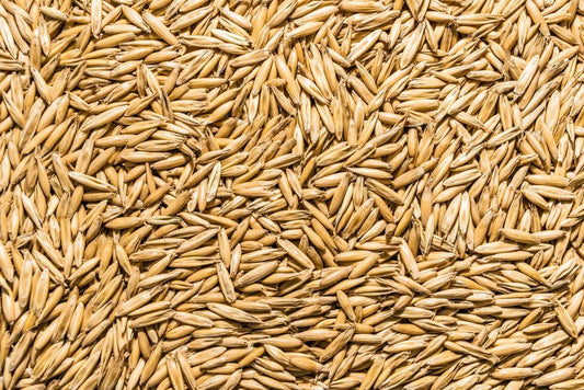 Thunder Acres Non GMO, Certified Organic, Oat Seed (5 lb.)