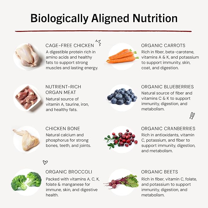 Stella & Chewy's Freeze-Dried Raw Dinner Patties - Chicken Recipe - High Protein Grain-Free Puppy & Dog Food - Perfect For Picky Eaters - 5.5 oz