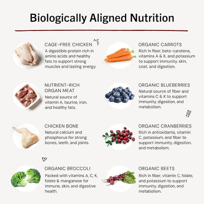 Stella & Chewy's Freeze-Dried Raw Dinner Patties - Chicken Recipe - High Protein Grain-Free Puppy & Dog Food - Perfect For Picky Eaters - 14 oz
