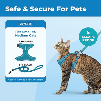 Best Pet Supplies Voyager Escape Proof Cat Harness and Leash Set with Reflective Stitching, Neoprene Handle 5ft - Supports Small, Medium and Large Cats, Kittens - Turquoise, M (Chest: 16.5-19.5")