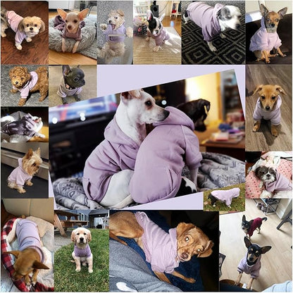 Jecikelon Winter Dog Hoodie Sweatshirts with Pockets Warm Dog Clothes for Small Dogs Chihuahua Coat Clothing Puppy Cat Custume (Purple, Medium)
