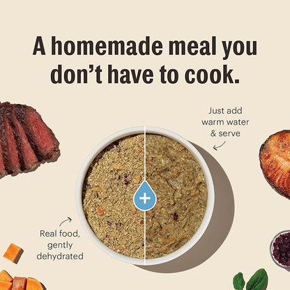 The Honest Kitchen Wholemade™ Whole Grain Chicken Dog Food, 1.5 oz x10