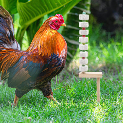 Oooct 2 Pack Chicken Chewing Toy, Chick Beak Grinding Calcium Stone with Wood Stake, Chicken Cage Accessories, Cage Toys for Cockatiel Parakeet Parrot Budgies Rat Hamster Rabbit Bunny African Grey