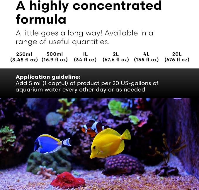 Brightwell Aquatics Magnesion Liquid Salt Water Conditioner - Concentrated Magnesium Supplement For Reef and Marine Aquariums, 16.9 fl oz