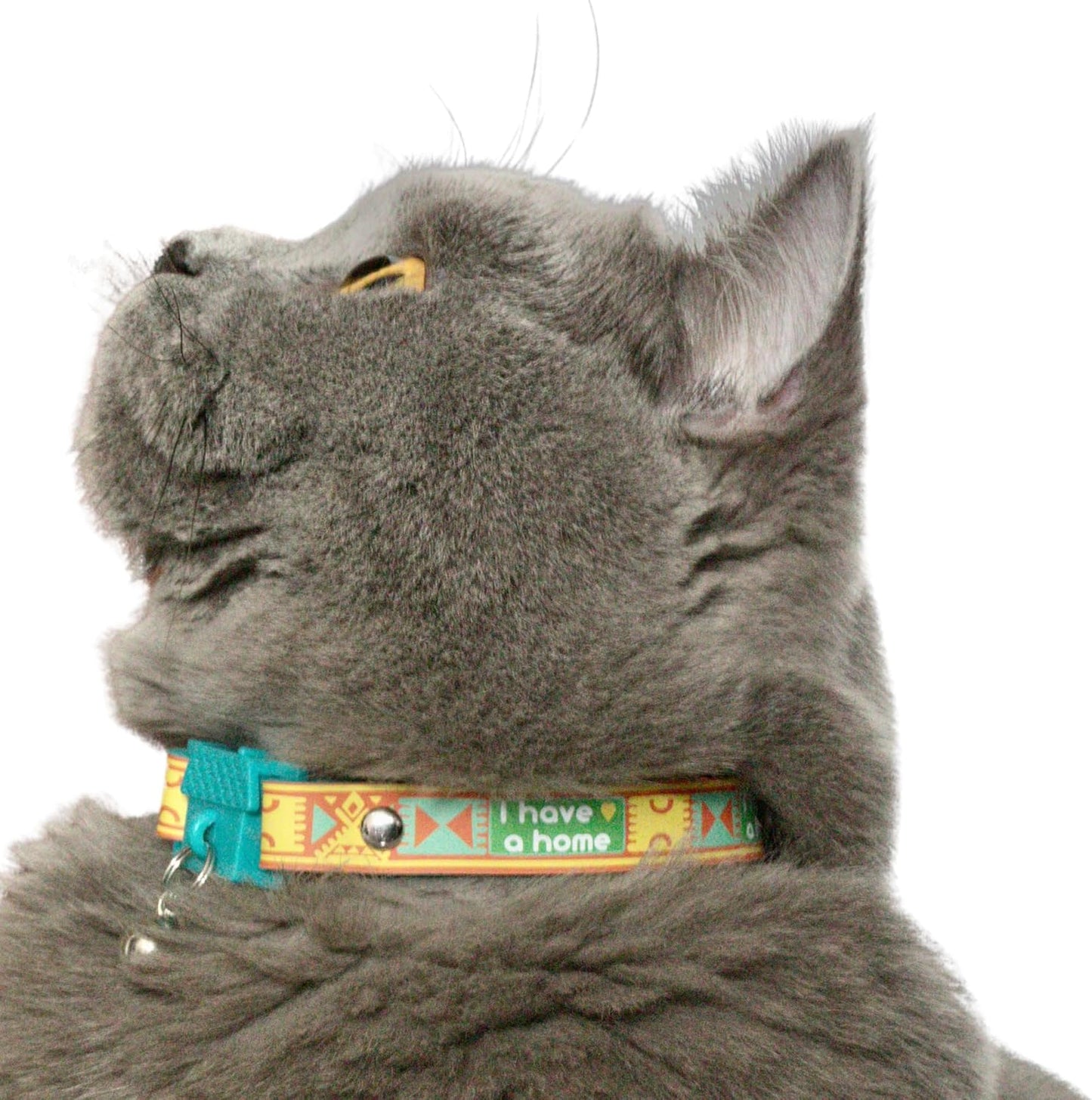 New Kittyrama -I Have A Home- Cat Collar with Bell. Breakaway, Quick Release, Hypoallergenic, Vet Approved. Lightweight Kitten Collar. As Seen in Vogue. Soft & Comfy. Savanna