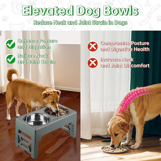 EliteField Elevated Dog Bowls (2-Year Warranty), Two 58 oz Stainless Steel Food Bowls, 5 Adjustable Raised Heights (4", 9.5", 10.5", 11.5", 12.75") Suitable for Dogs of All Ages, Small to Large Sizes