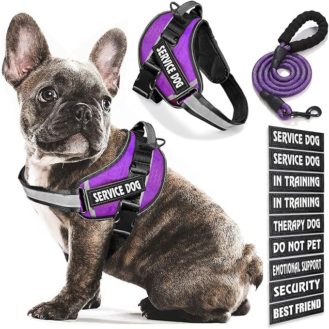 Service Dog Vest, 9 Dog Patches No Pull Dog Harness and Leash Set with Handle,Easy On and Off Pet Vest Harness with Night Safe Reflective Straps for Small Medium Large Breed Dogs