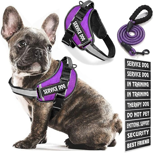Service Dog Vest, 9 Dog Patches No Pull Dog Harness and Leash Set with Handle,Easy On and Off Pet Vest Harness with Night Safe Reflective Straps for Small Medium Large Breed Dogs