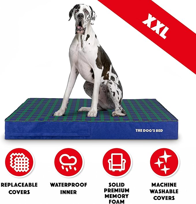 The Dog’s Bed Orthopedic Memory Foam Dog Bed, XXL Black Watch Tartan, Pain Relief for Arthritis, Hip & Elbow Dysplasia, Post Surgery, Lameness, Supportive, Calming, Waterproof Washable Cover
