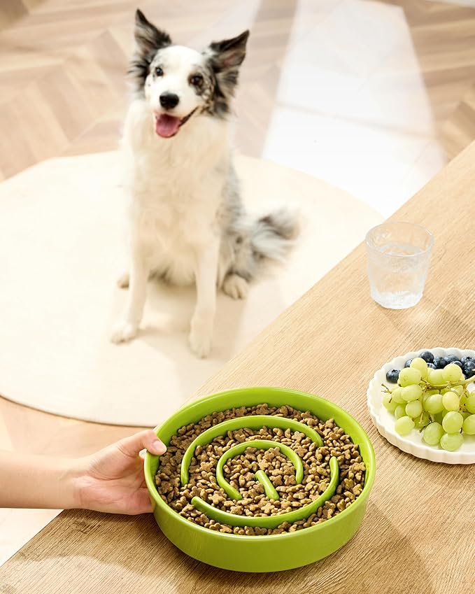 Ceramic Slow Feeder Bowls for Large Dogs, 3.0 Cups Slow Feeder for Fast Eaters, 48oz, 10in, Green