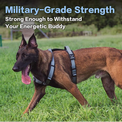 PawsPassion Dog Harness for Small Dogs, No Pull Dog Harness Easy Walk with Metal Hardware, Ergonomic Y-Shaped Design, Soft Padding, Padded Handle, Durable High-Tensile Nylon (Horizon, S)