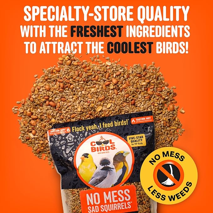 No Mess Sad Squirrels Hot Bird Seed – 10 lb. Spicy Shell-Free Blend with Peanuts, Sunflower Hearts & Chili Pepper Oil – No Waste, Squirrel-Resistant Bird Food for Outside Feeders