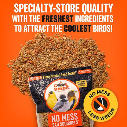 No Mess Sad Squirrels Hot Bird Seed – 10 lb. Spicy Shell-Free Blend with Peanuts, Sunflower Hearts & Chili Pepper Oil – No Waste, Squirrel-Resistant Bird Food for Outside Feeders