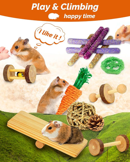 Hamster & Guinea Pig Toys - 18 Pcs Wooden Small Animal Chew Toys for Teeth - Rabbit, Chinchilla, Gerbils, Rats Exercise Accessories