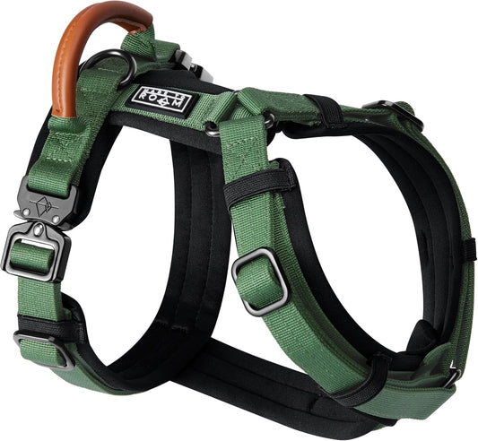MADE TO ROAM Premium Explorer Harness - Y-Shaped Dog Harness with Adjustable Durable Nylon, Soft Padding, Metal Buckles and Leather Handle for Small, Medium, Large Dogs (Oregon Haze, Size 5)