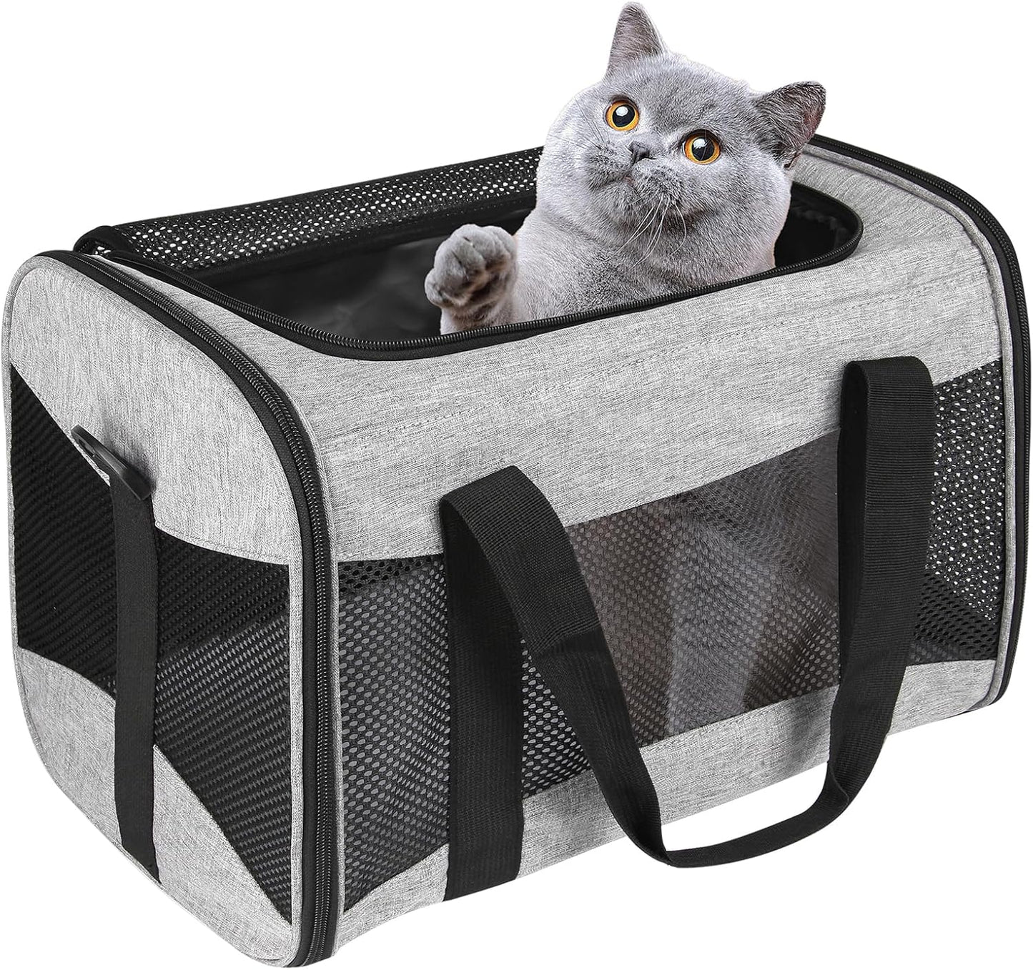 Cat Carrying Case - Pet Carrier Airline Approved, Protable and Breathable Pet Travel Carrier Removable Fleece Pad, Collapsible Cat Carrier Dog Carrier for Medium Cats Small Cats Dogs(15 * 10 * 10)