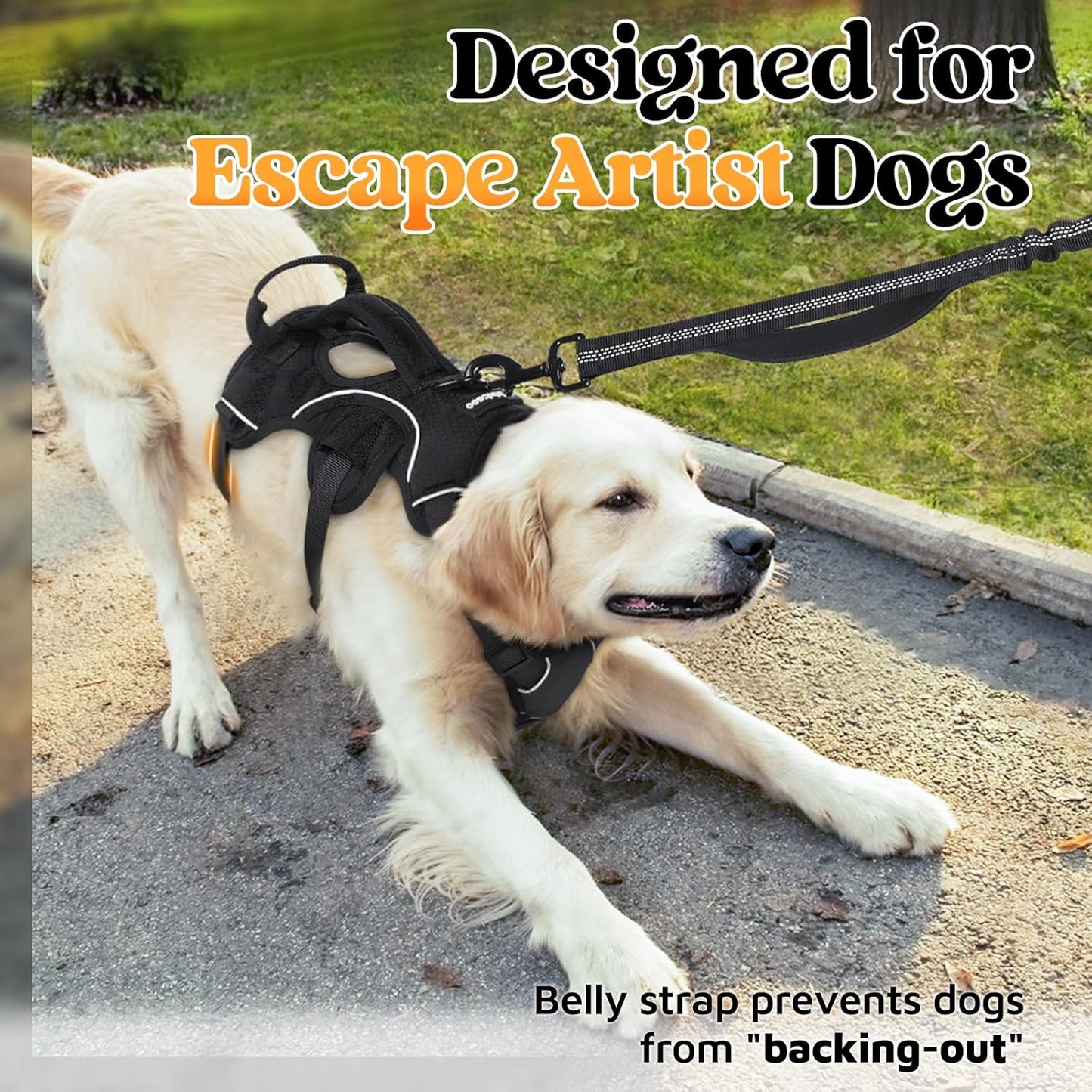 rabbitgoo Escape Proof Dog Harness with Large Handle