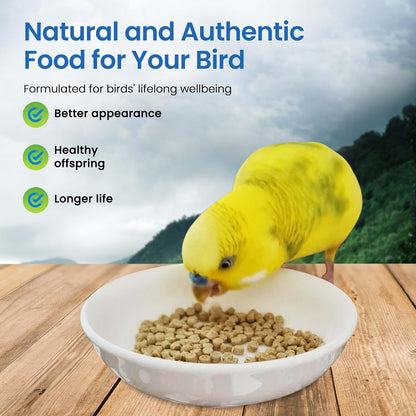 Harrison's Bird Foods Adult Lifetime Certified Organic Non-GMO Formula Small Bird Food 1lb