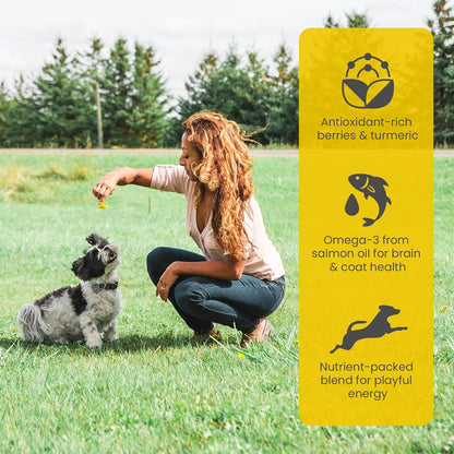 T28 Grain-Free Dog Food for Small & Toy Breeds – High Protein Trout & Salmon Meal Kibble | Chicken-Free, Limited Ingredient, Fish Dry Dog Food for Small Dogs & Puppies (4.4 Pounds)