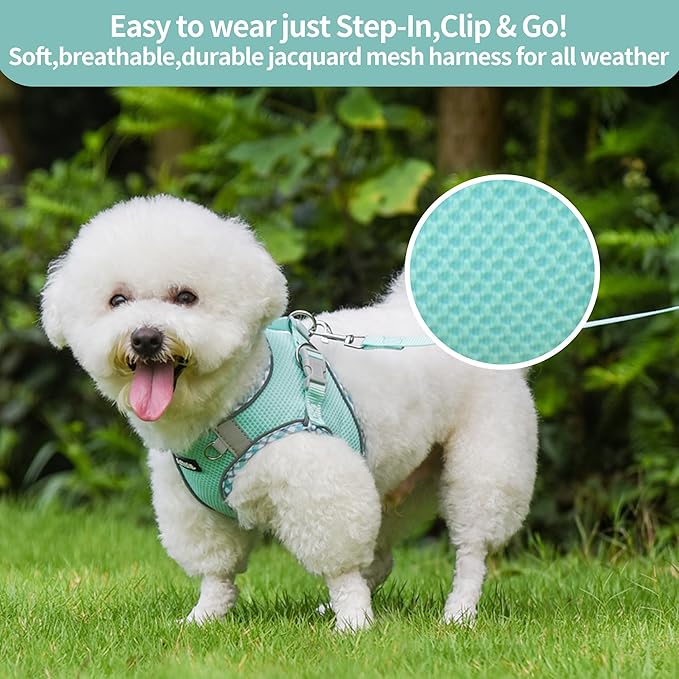 AIITLE Dog Harness and Leash Set - Ultra-Comfortable XXS-XL Vest with Strong Magic Tape & Glow-in-Dark Reflective Strips, Chafe-Free for Teddy, Schnauzer (Turquoise, M)