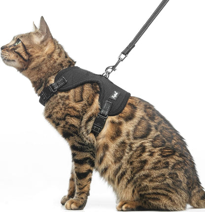 PUPTECK Cat Harness and Leash Set Escape Proof, Reflective Adjustable Soft Mesh Kitten Vest Harness for Walking Travel, Black, M