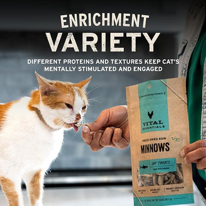 Vital Essentials Chicken Giblets Cat Treats, 1 oz | Freeze-Dried Raw | Single Protein | Grain Free, Gluten Free, Filler Free