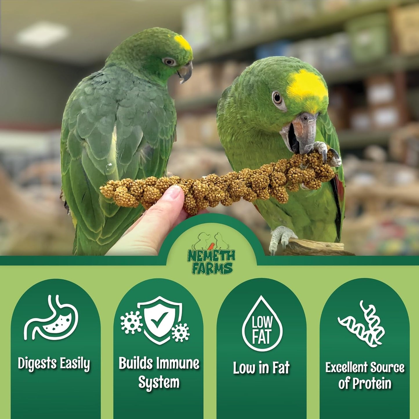 Nemeth Farms Worlds Freshest GMO-Free, Sun Dried Spray Millet No Stems Only Edible - Tops-Original Bird Treat and Supplement for Pet Birds Parakeets, Cockatiels, Lovebirds and Finches - 5lbs