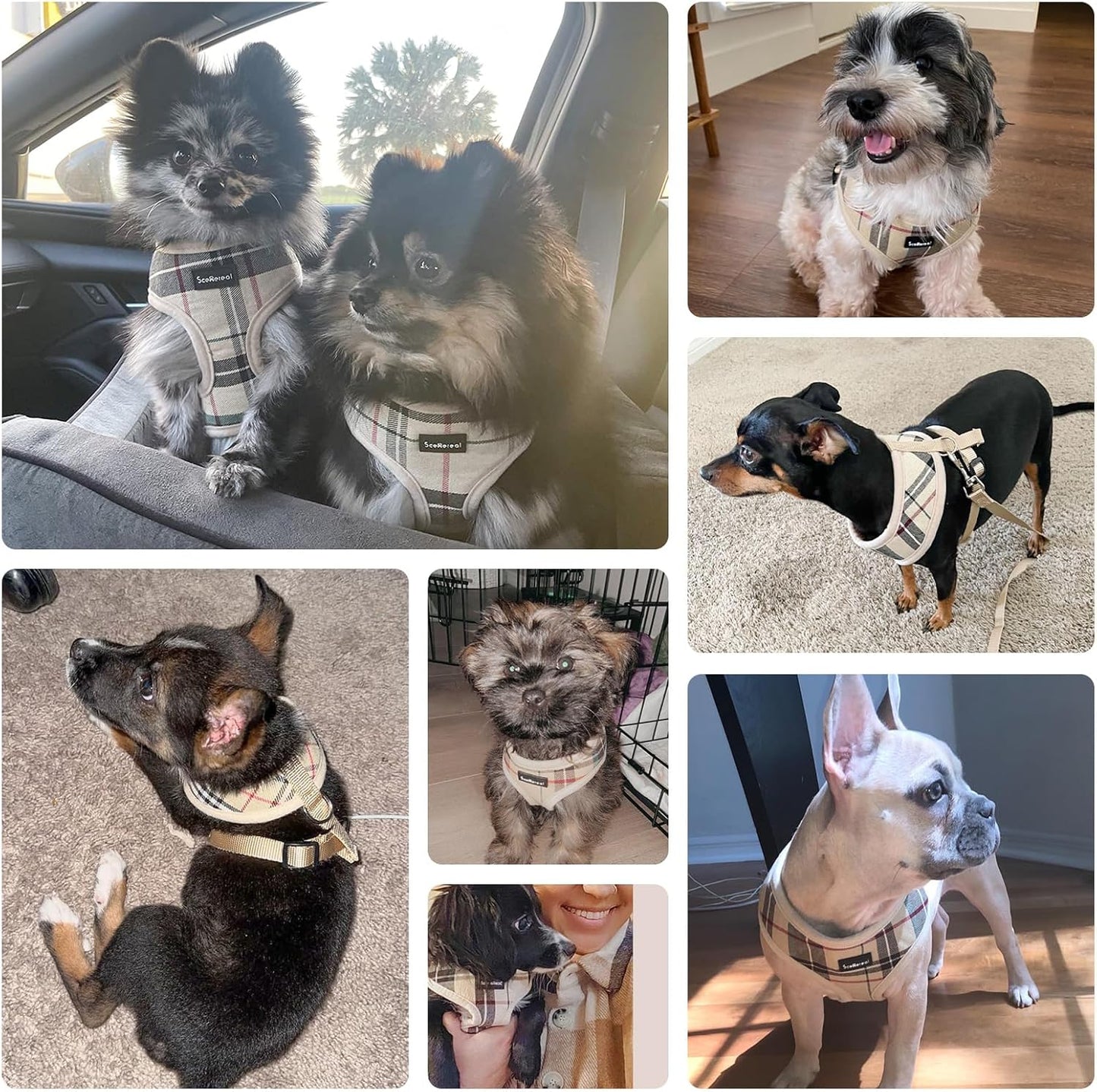 SCENEREAL Puppy Dog Harness with Leash Set for Small Medium Dogs, Soft Mesh Step in Pet Harnesses and Leash, No Chock Plaid Adjustable No Pull Vest