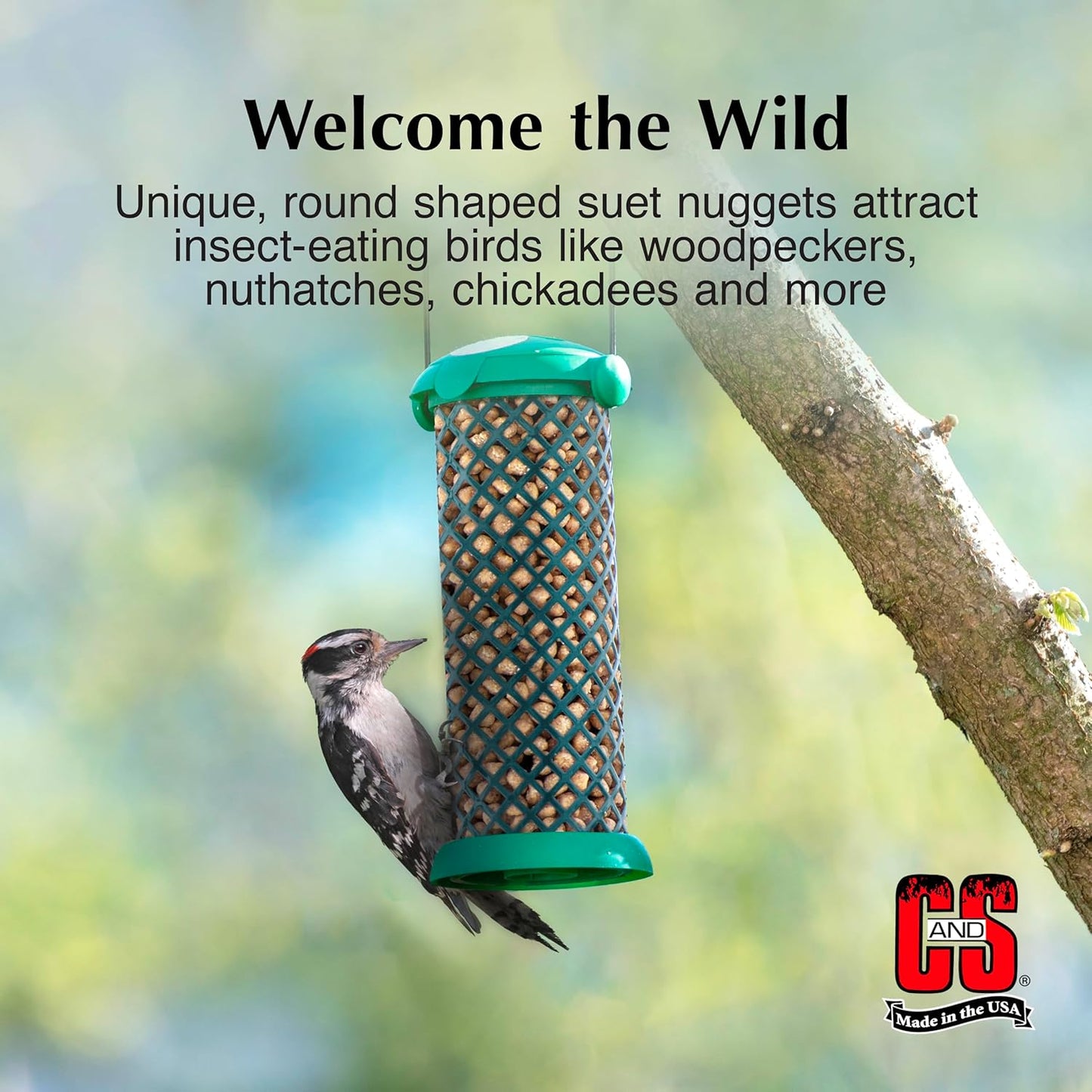 C&S Woodpecker Suet Nuggets, Outdoor Wild Bird Food for Woodpeckers, Flickers and More, 27 Ounces