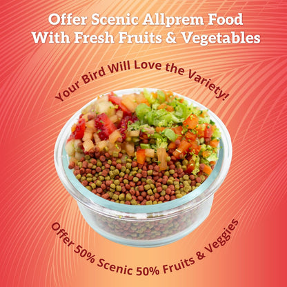 Scenic Hot & Healthy Food for Cockatiels, Parakeet, Lovebird Food