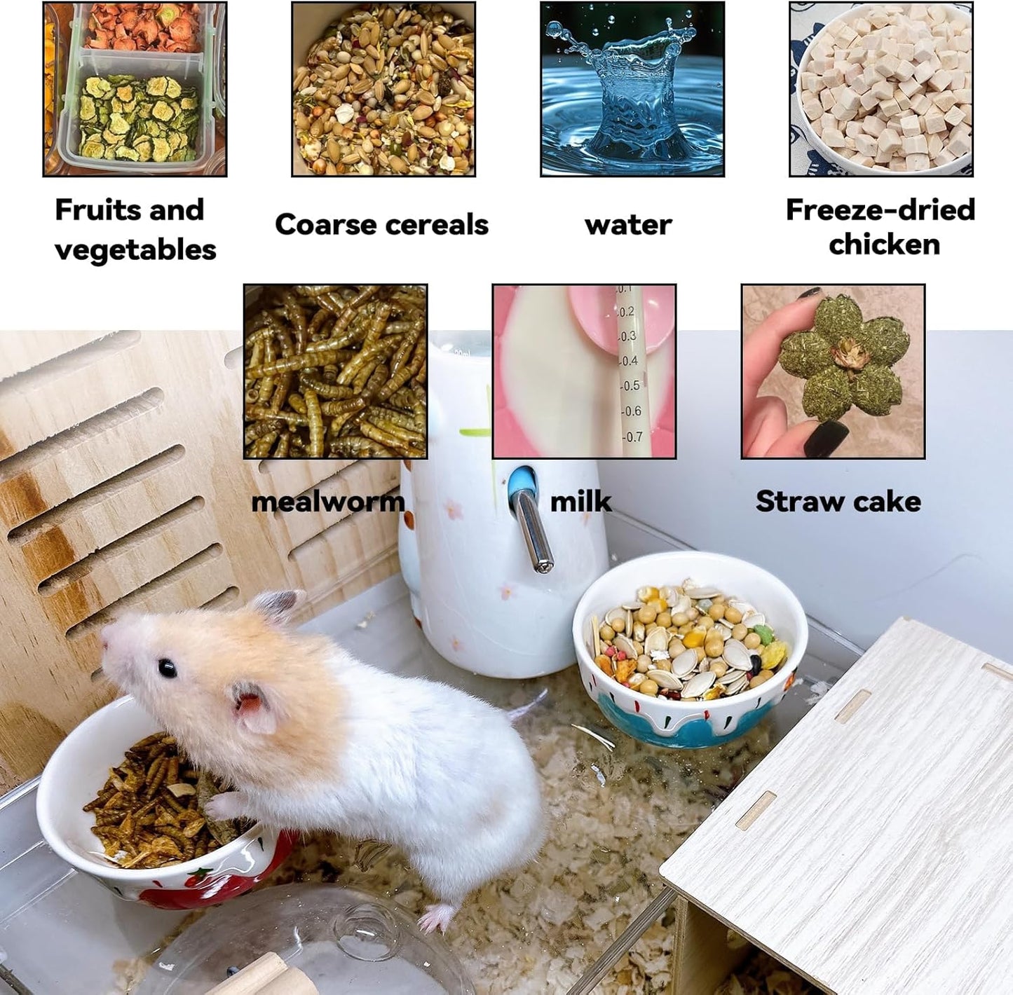 2 Pack Hamster Food Bowl Small Animals Ceramic Food Water Bowl Rat Bowls Prevent Tipping Moving for Gerbil Chinchilla Hedgehog (Color: Red + Blue)