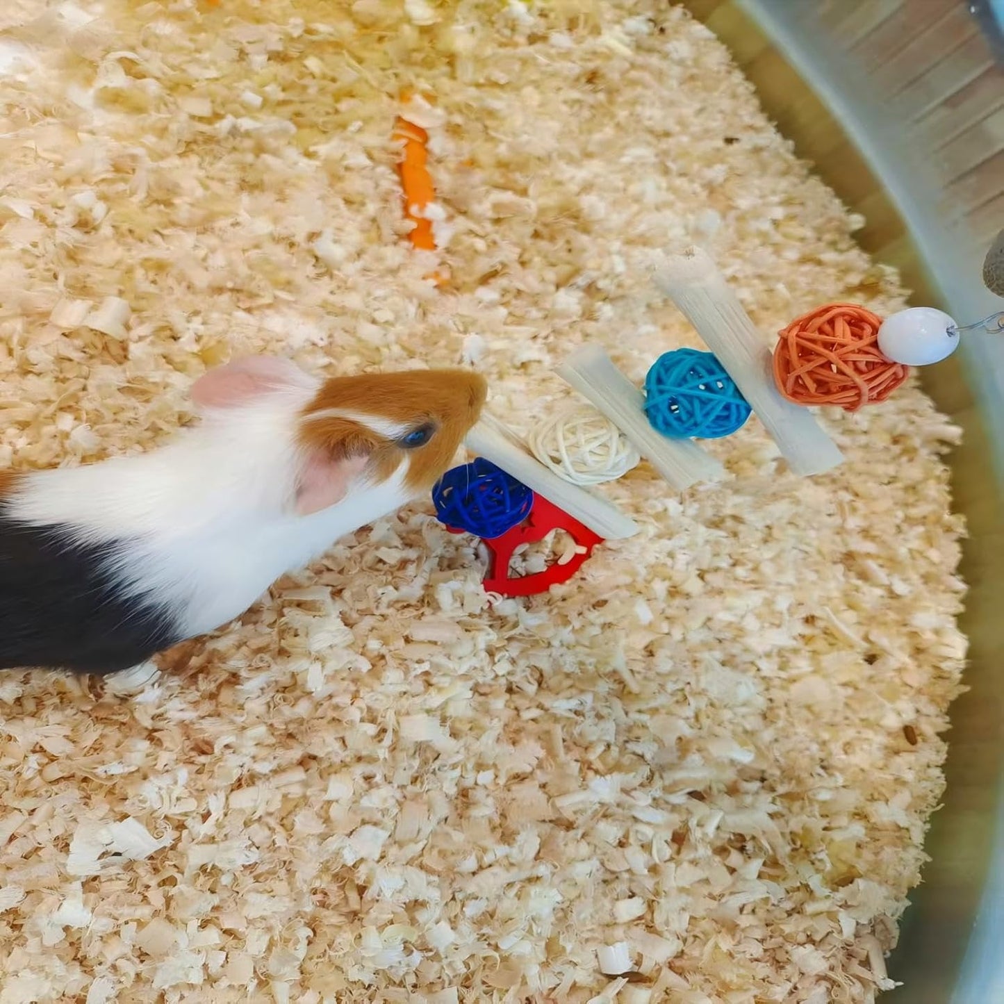 Bunny Chew Toys,Natural Chinchilla Chew and Treats Toys,Rabbit Toys for Guinea Pigs Hamster Gerbils Chinchilla and Other Small Pets(4pcs)