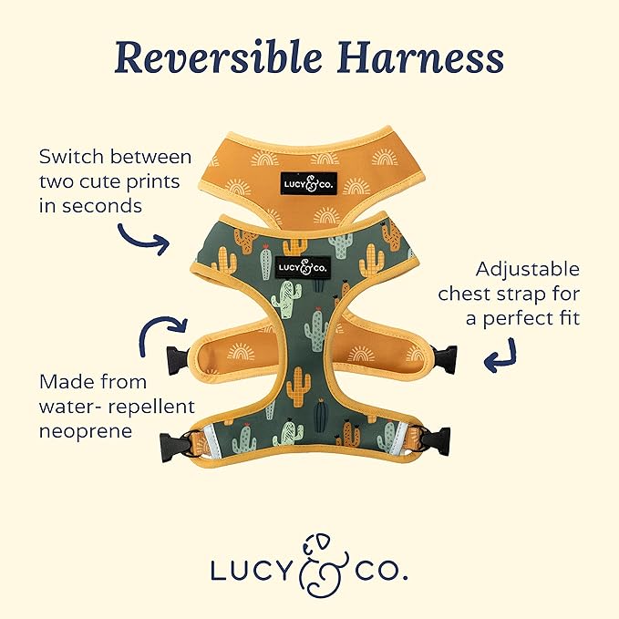 Lucy & Co. Looking Sharp, Cute Reversible Dog Harness Walking Halter - Best Designer Pet Harnesses for Medium Dogs - Padded Adjustable Vest for Easy Walking (Medium)