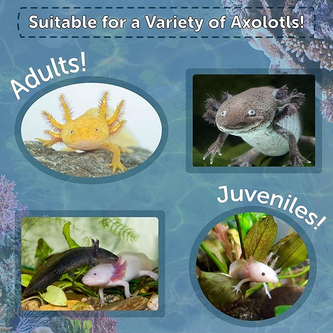 Aquatic Foods Inc. Axolotl Food, 1/8" Soft Moist Sinking Pellets, Rangen's Salmon Meal Pellets for Small Axolotl. Also Shrimp, Snails, Crabs, Bottom Fish, All Tropical Fish...11oz Small Jar